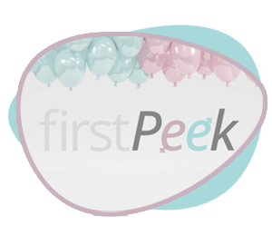 Early Pregnancy Scan